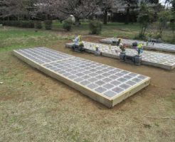 樹木葬第5期、第6期オープン