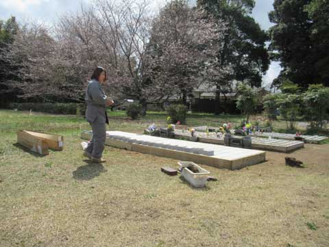 樹木葬の詳細